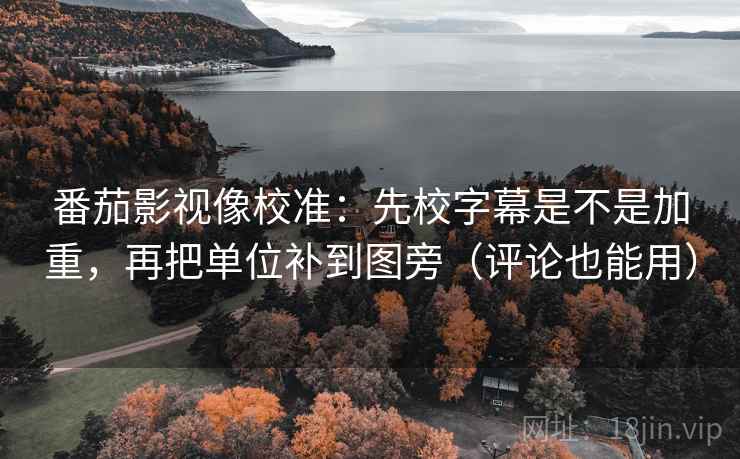 番茄影视像校准：先校字幕是不是加重，再把单位补到图旁（评论也能用）