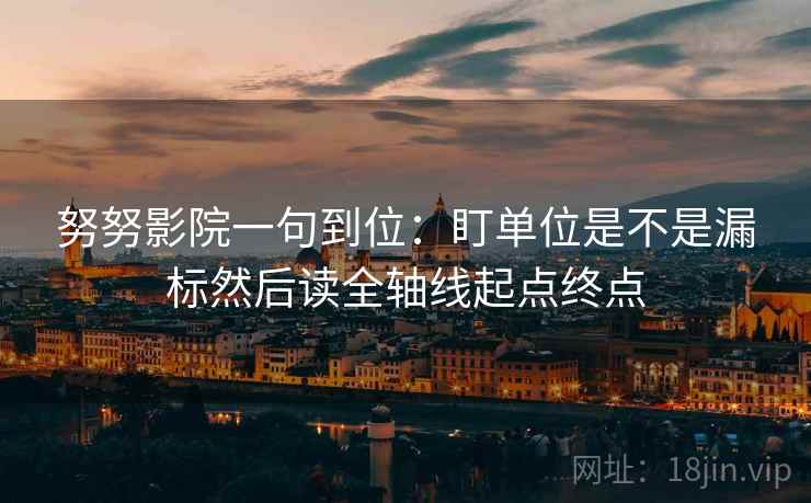 努努影院一句到位：盯单位是不是漏标然后读全轴线起点终点